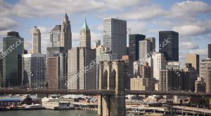 Stockbridge Risk Management